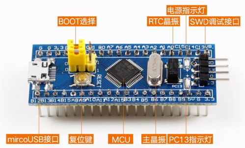 零基礎(chǔ)快速上手STM32開發(fā) 探索集成電路芯片設(shè)計與服務(wù)
